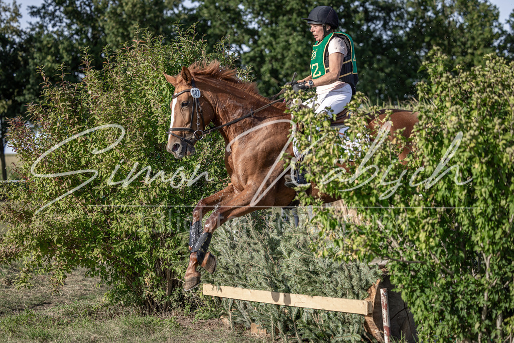 20250907-_3LI4416 | Tierfotografie Pferde, Hunde, Katzen, Haustiere.
Turnierfotografie Reitturniere, Reiten, Springreiten, Dressur in Hanau, dem Main-Kinzig-Kreis und dem Rhein-Main- Gebiet um Frankfurt
