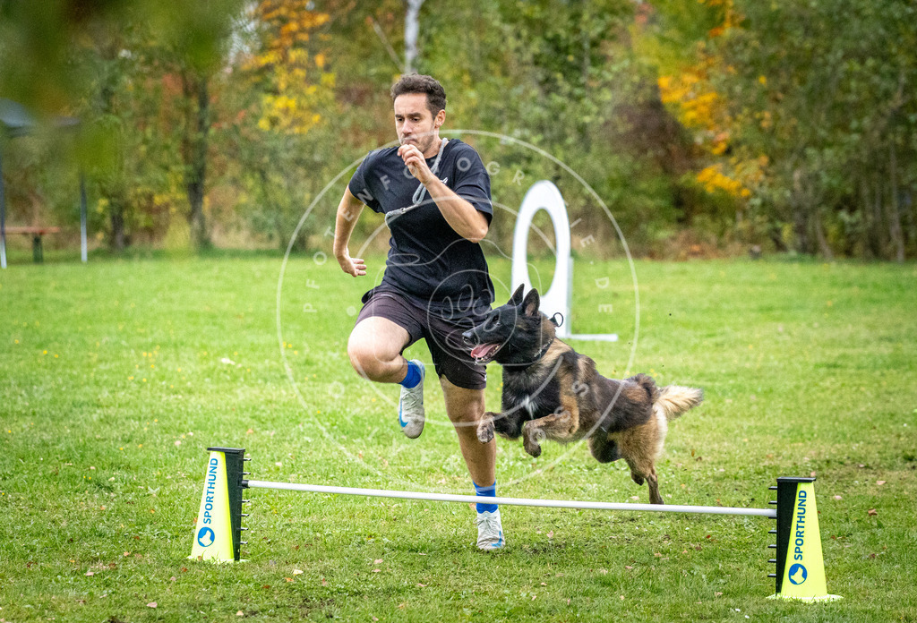 Pfotenfotografie_DV3A1401 | Hundefotografie, Tierfotograf, Pfotenfotografie, Fotoshooting Hund, Hunde Portrait, Hundesport, Hundeportraits, Heideshooting, Hunde, Sportfotograf, Hundefotograf, Turnierhundsport, THS,  - Realisiert mit Pictrs.com