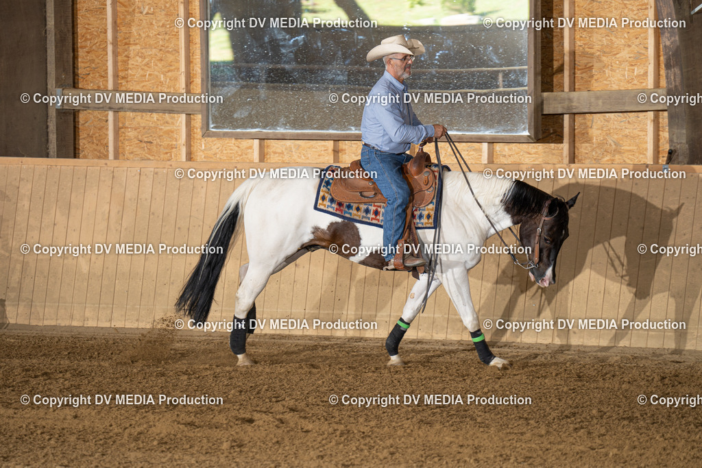 DSC00042 | dv-media-shop - Realisiert mit Pictrs.com