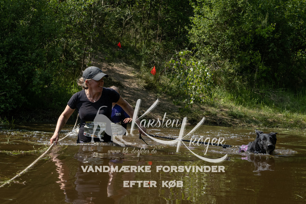 1539DKK991655 | kk-dogfotos