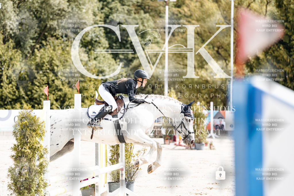 CK906453 | Turnierfotografie Pferdefotografie Trier Rheinland-Pfalz Pferdesport Reitsport Tierfotografie Sportfotografie Pferdevideo Pferdevideografie Equestrianvideography equestrianphotography  - Realisiert mit Pictrs.com