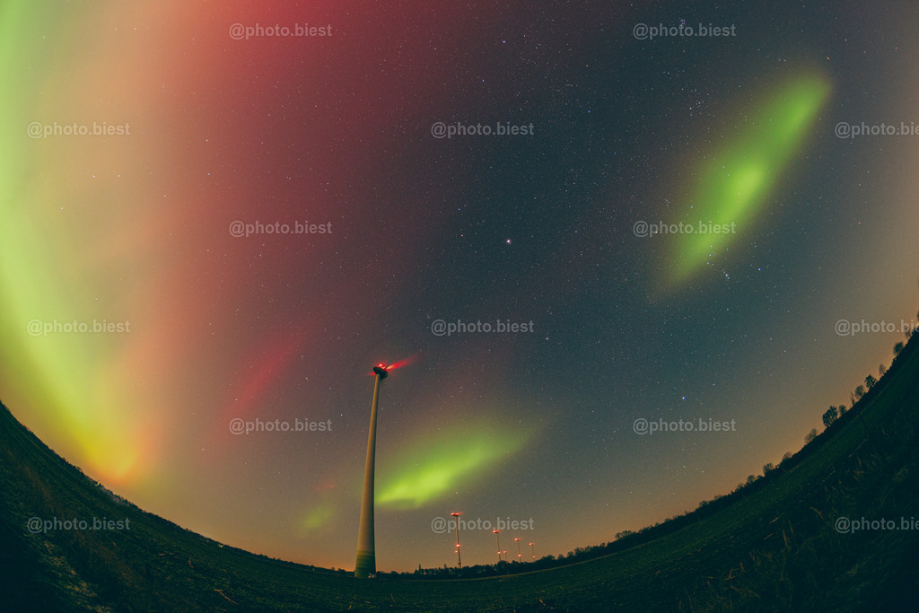 IMGC9459 | photobiest - Realisiert mit Pictrs.com