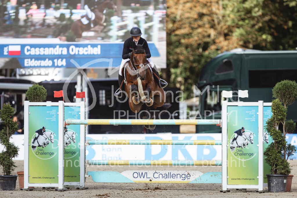 240915_OWLCh_Quali1GP-506 | Deine schönsten Turniermomente als professionelle Fotos! Entdecke hochwertige Pferdesport-Fotografie im Online-Shop. Jetzt Fotos finden & bestellen!