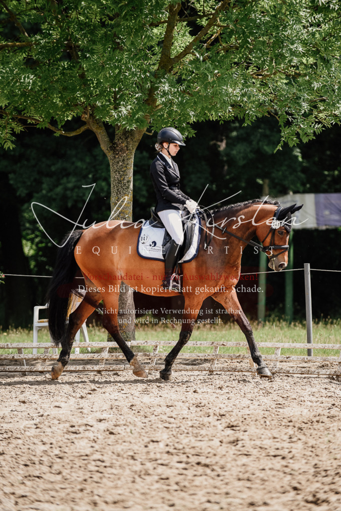 DSC_0877 | Pferde- und Turnierfotografie in Westsachsen. Pferdeportraits, Auftragszeichnungen und intuitive Kunst.