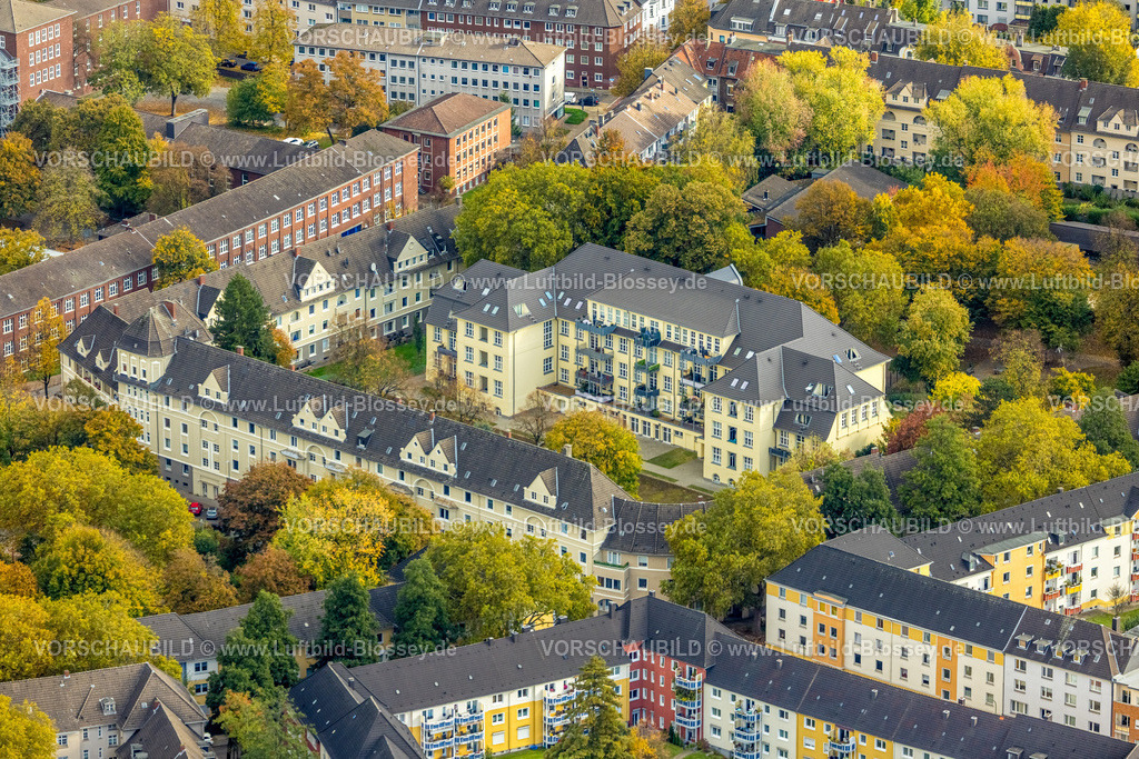 Essen251003244Mitte | Luftbild, Wohnsiedlung Bärendelle mit herbstlichen Bäumen, ehemaliges Schulgebäude, Frohnhausen, Essen, Ruhrgebiet, Nordrhein-Westfalen, Deutschland