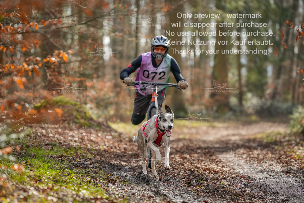 So_Scooter1-51 | stephaniefillaphotographie - Realisiert mit Pictrs.com