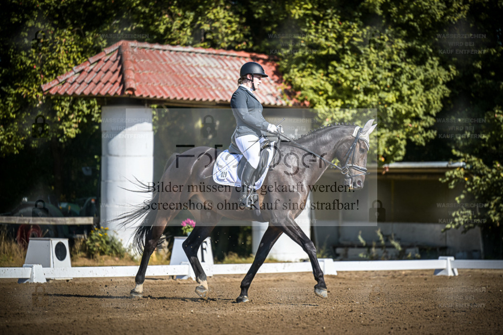 DOS_2358 | Entdecke hochwertige Reitturnierfotos von Foto Oger. Professionell, emotional und authentisch – jetzt Lieblingsmomente im Shop bestellen. - Realisiert mit Pictrs.com