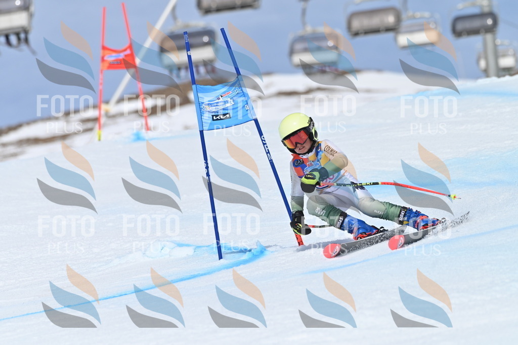 BGV_1322 | holidayphoto