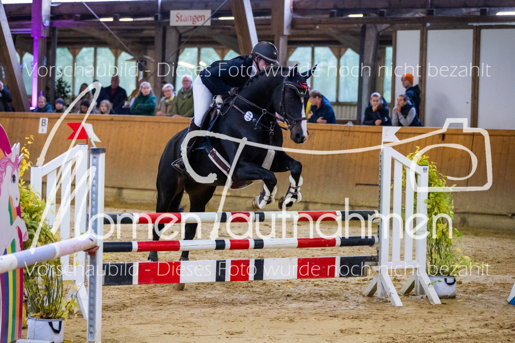 Sth-A-Spr.m.st.A.-022 | MomenTaufnahmen Pferdesportfotos