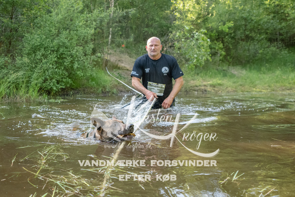 1741DKK992375 | kk-dogfotos