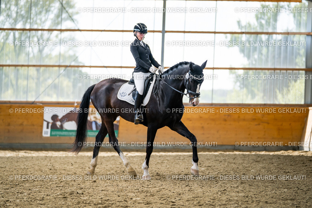 DSC05929 | Pferdegrafie