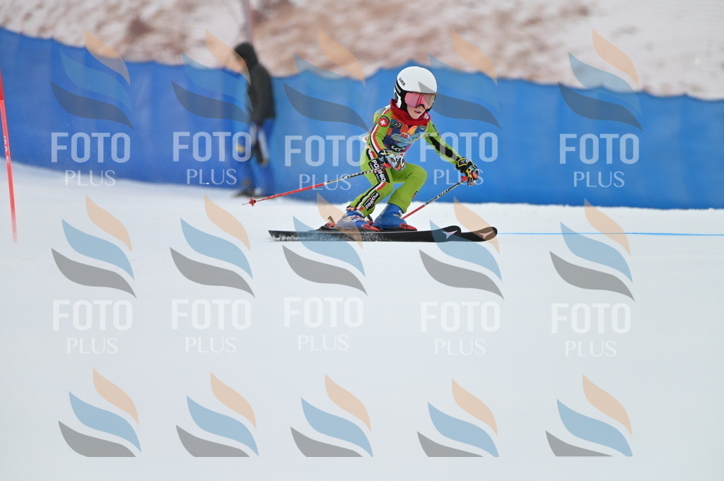 BGV_9334 | holidayphoto