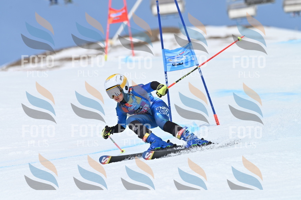 BGV_2412 | holidayphoto