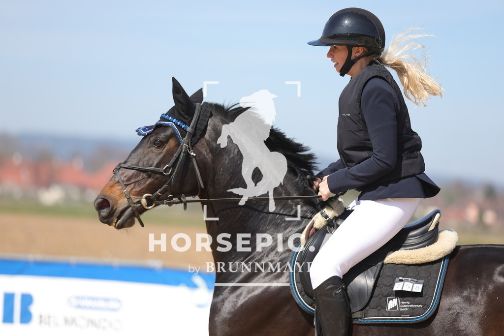 0P6A1350 | Willkommen bei Brunnmayr - Design & Fotografie – Ihrem Spezialisten für Reitturniere und Pferdeveranstaltungen in Oberösterreich, Salzburg und Bayern! Seit über 17 Jahren sind wir leidenschaftlich dabei.