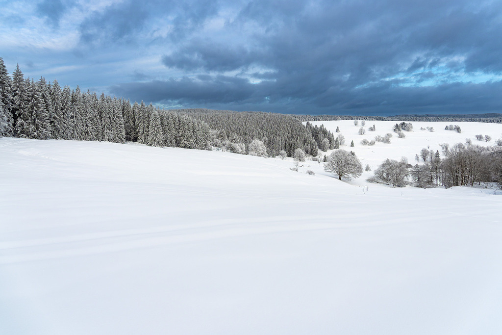 Landschaft im Winter im Thüringer Wald in der Nähe von Schmiedefeld am Rennsteig | Landschaft im Winter im Thüringer Wald in der Nähe von Schmiedefeld am Rennsteig.