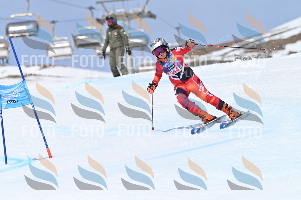 BGV_3521 | holidayphoto