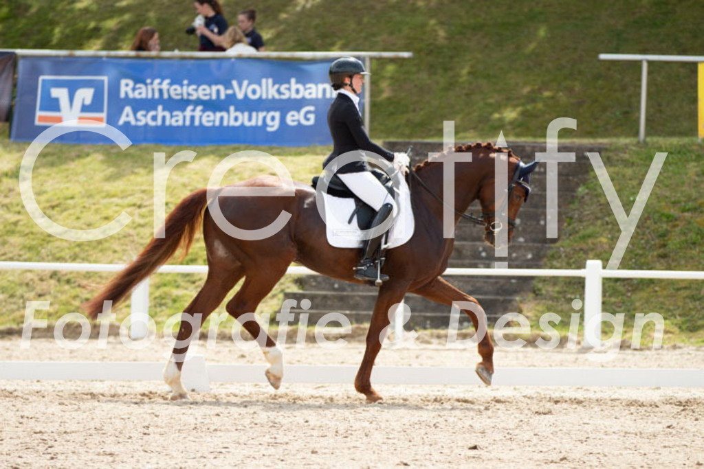 IMG_2535 | Creatify Fotografie