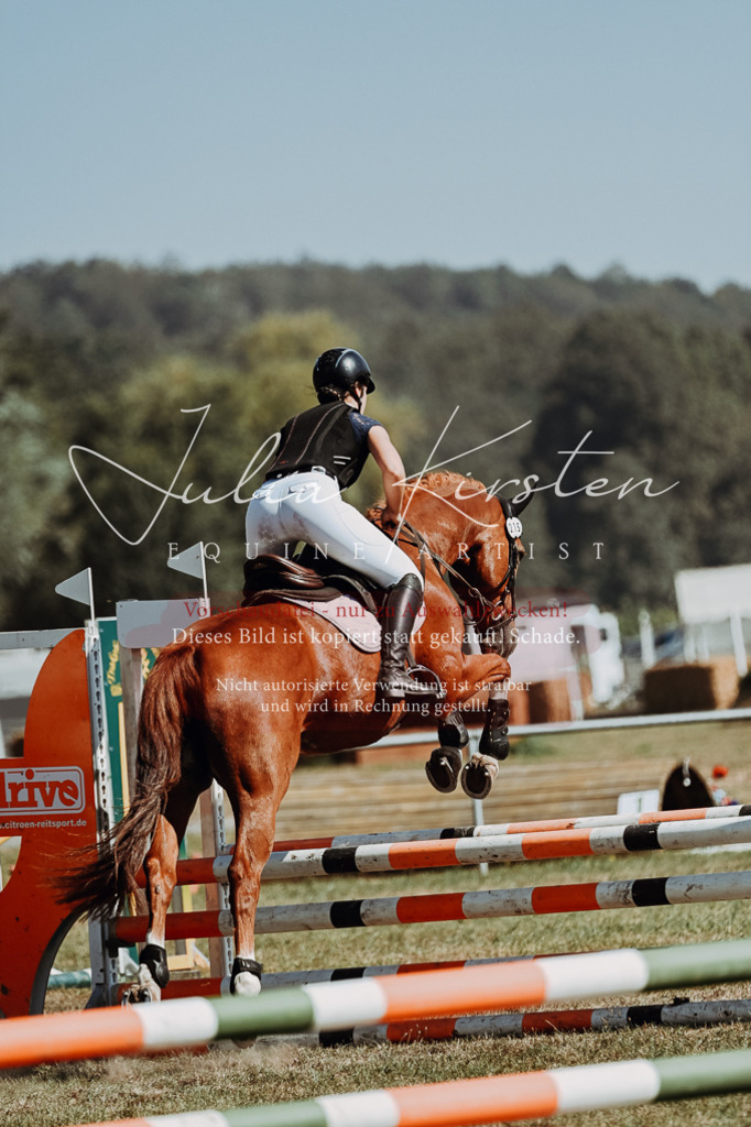 DSC_9696 | Pferde- und Turnierfotografie in Westsachsen. Pferdeportraits, Auftragszeichnungen und intuitive Kunst.