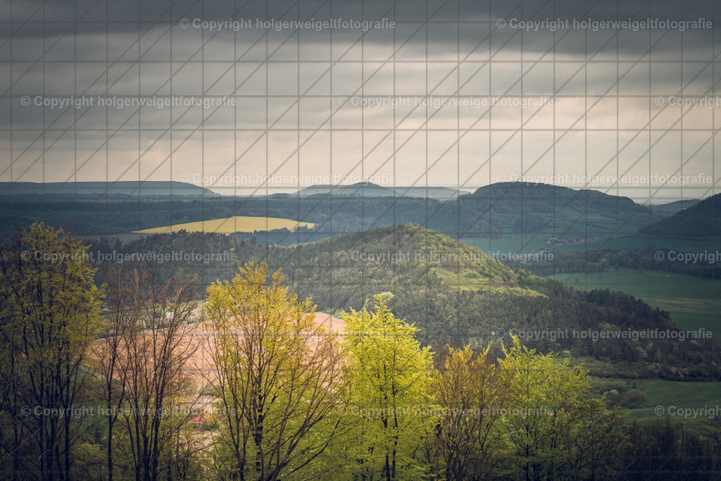 20240414094743D75_2310 | Kaufen sie online außergewöhnliche Fotografien auf Leinwand Acrylglas Fotoprint Aludibond von holgerweigeltfotografie - Realisiert mit Pictrs.com