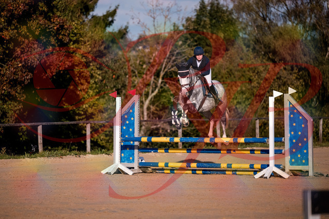 2026_10_03_Siefer-Hof_171412_Z81_11558294 | Professionelle Reitsport-, Turnier- und Eventfotografie von Robert Broda. Galerien mit ausgewählten und bearbeiteten Bildern direkt online ansehen und bestellen.