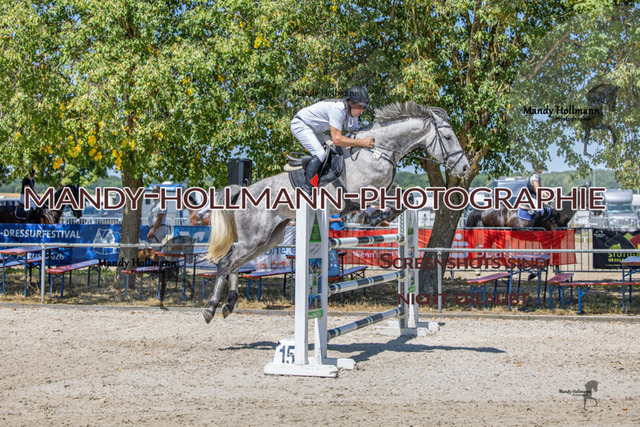 26-7-24 SPF m++-349 | mandyhollmannphotographie
