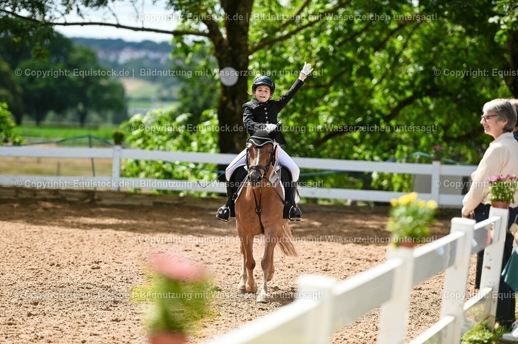 20230716_10-3_Reiter-WB Schritt - Trab - Galopp_0265 | equistock