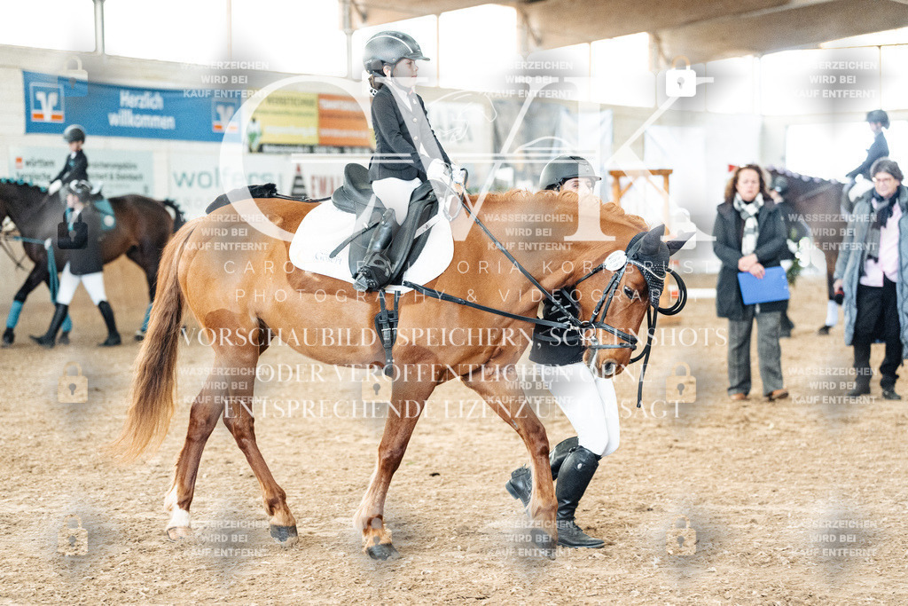 CK905577 | Turnierfotografie Pferdefotografie Trier Rheinland-Pfalz Pferdesport Reitsport Tierfotografie Sportfotografie Pferdevideo Pferdevideografie Equestrianvideography equestrianphotography  - Realized with Pictrs.com