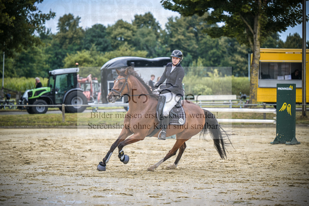 DOS_2353 | Entdecke hochwertige Reitturnierfotos von Foto Oger. Professionell, emotional und authentisch – jetzt Lieblingsmomente im Shop bestellen.Deutschlandweite Turnierfotografie. - Realisiert mit Pictrs.com