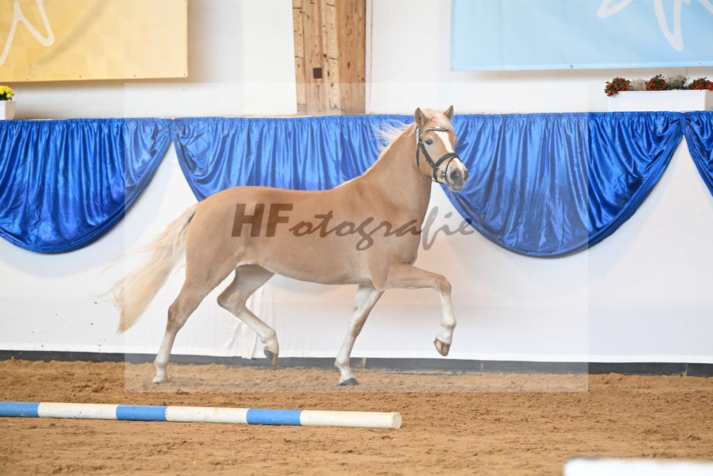 Kat-Nr. 7 Daria v. Armani Ass_Obermaier_60221119 | hf-fotografie - Realizzato con Pictrs.com