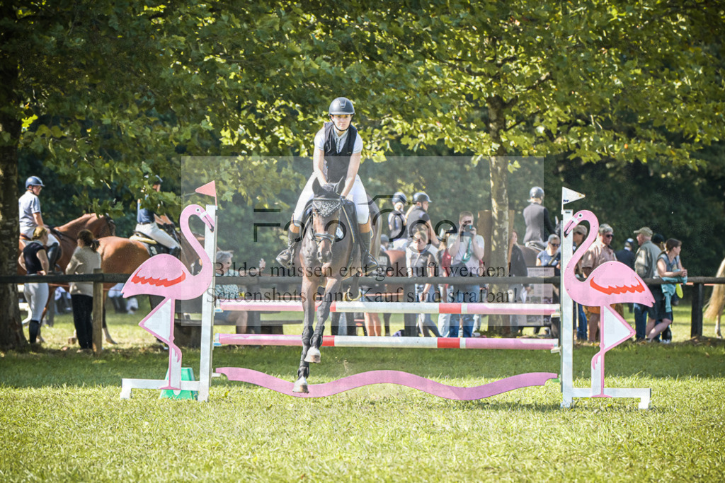 DOS_0851 | Entdecke hochwertige Reitturnierfotos von Foto Oger. Professionell, emotional und authentisch – jetzt Lieblingsmomente im Shop bestellen.Deutschlandweite Turnierfotografie. - Realisiert mit Pictrs.com
