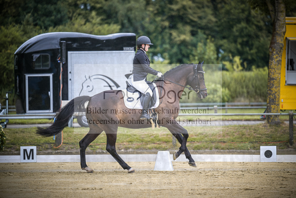 DOS_6728 | Entdecke hochwertige Reitturnierfotos von Foto Oger. Professionell, emotional und authentisch – jetzt Lieblingsmomente im Shop bestellen.Deutschlandweite Turnierfotografie. - Realisiert mit Pictrs.com