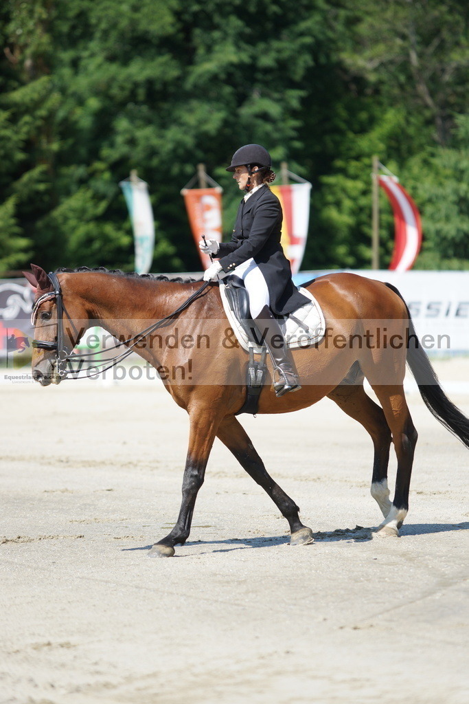 DSC03075 | equestrian-live-com