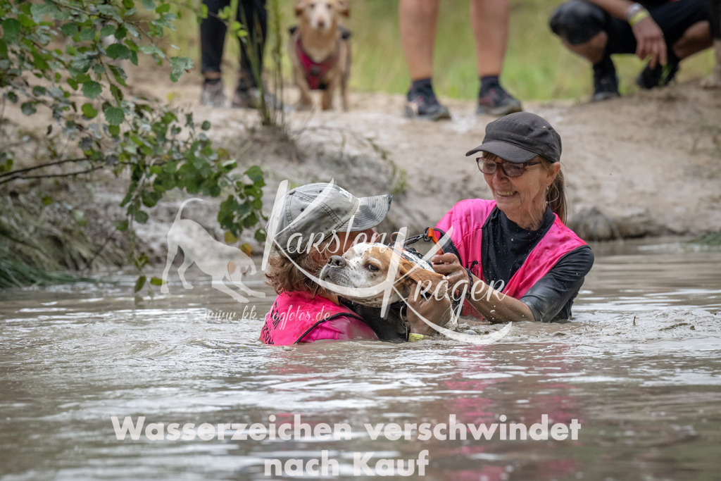 1341_ZZ91768 | kk-dogfotos
