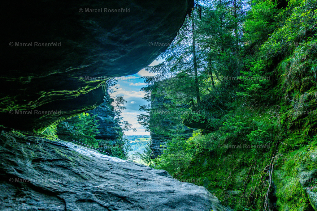 _DSC7392 | foto-rosenfeld