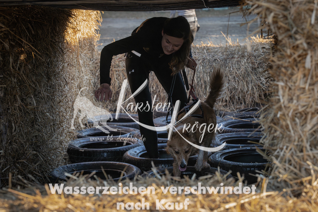 0919_ZZ92399-Verbessert-RR | kk-dogfotos