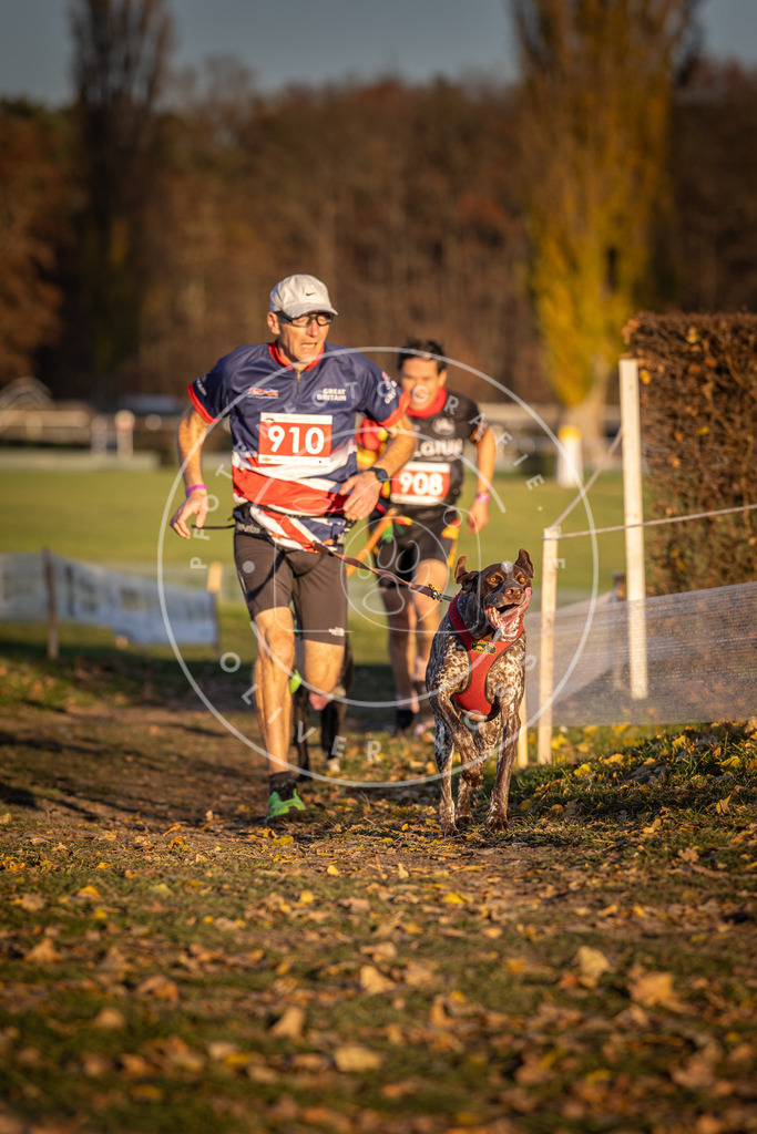 CaniXpix_DV3A4744 | Hundefotografie, Tierfotograf, Pfotenfotografie, Fotoshooting Hund, Hunde Portrait, Hundesport, Hundeportraits, Heideshooting, Hunde, Sportfotograf, Hundefotograf, Turnierhundsport, THS,  - Realisiert mit Pictrs.com