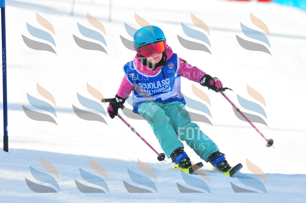 B8917 | holidayphoto