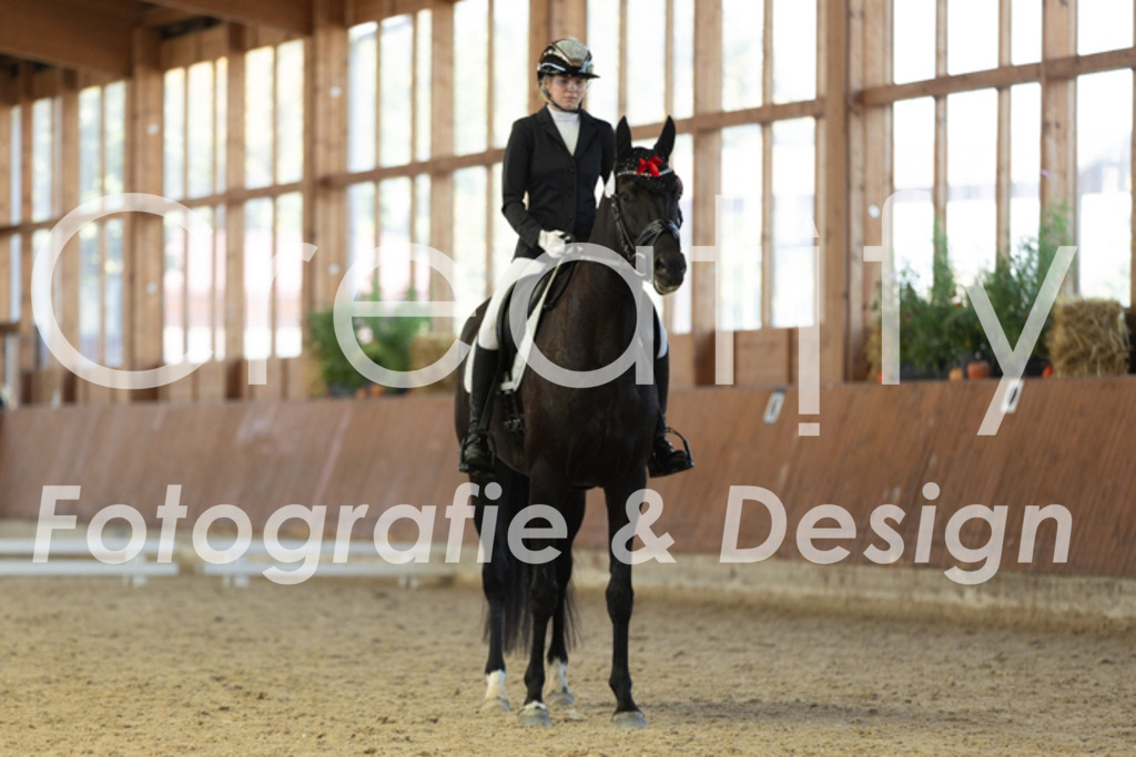 IMG_9013 | Creatify Fotografie