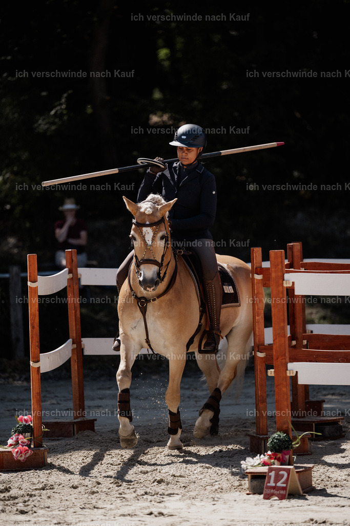 WS_ST_1_stoibphotography_SO10573 | working equitationturnier fotograf videograf stoibphotography marixx film working equitation deutschland reitsport turnierfotografie eventfotografie equestrian events