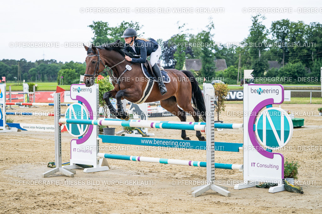 DSC04605 | Pferdegrafie