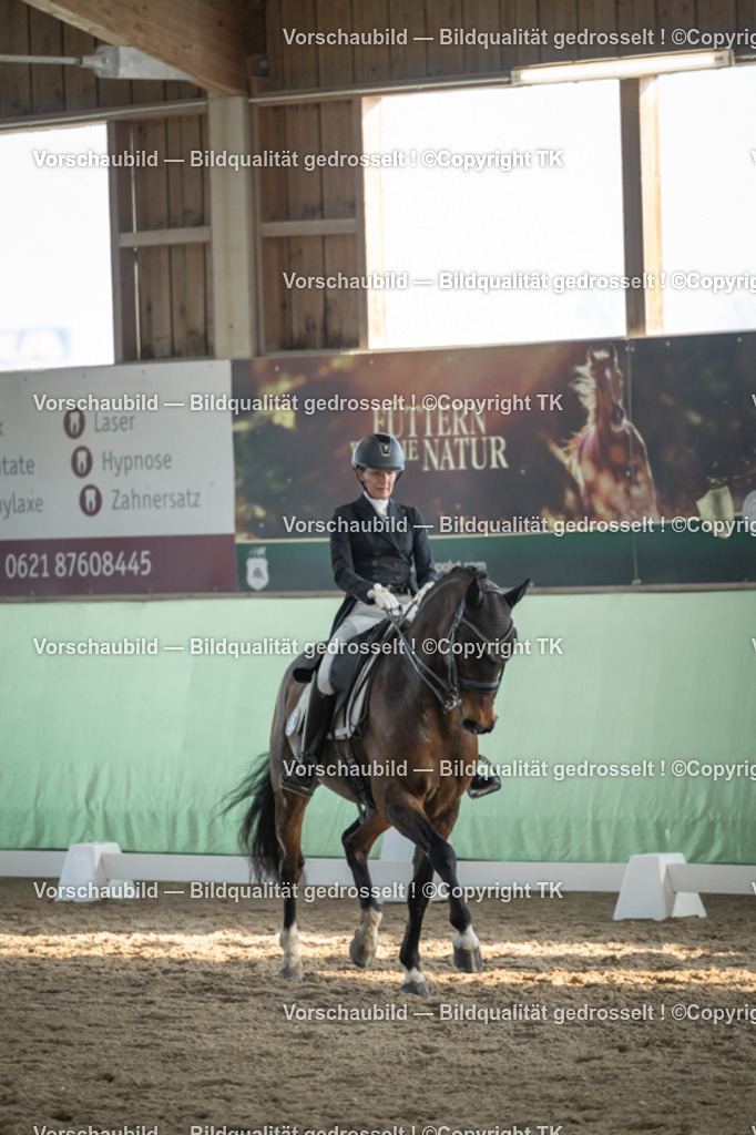 _D5A0712 | Emotionale Pferde- & People-Fotografie rund um Heidelberg, Leimen & Umgebung. Natürliche Fotos von Pferd, Mensch & Familie. Jetzt Termin sichern!