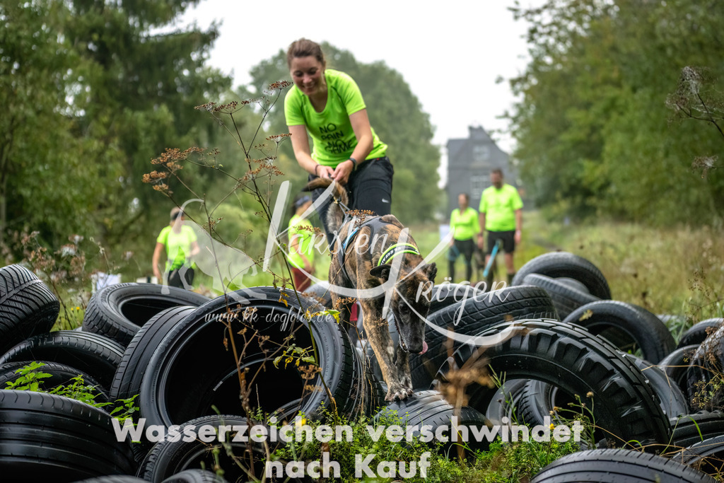 0842_ZZ90124-Bearbeitet | kk-dogfotos