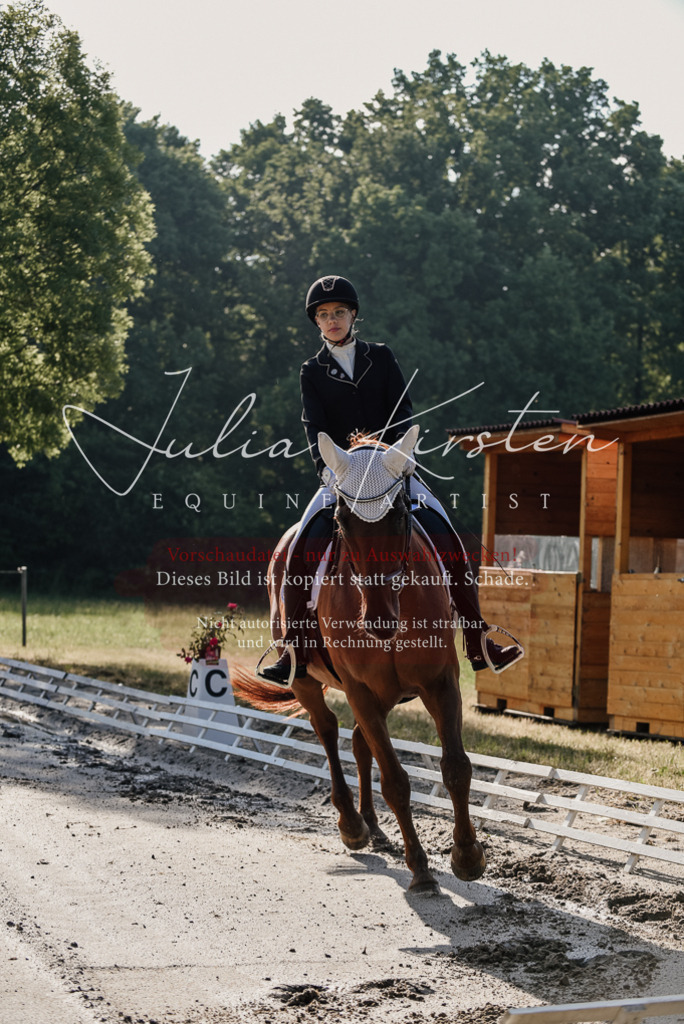 DSC_7689 | Pferde- und Turnierfotografie in Westsachsen. Pferdeportraits, Auftragszeichnungen und intuitive Kunst.