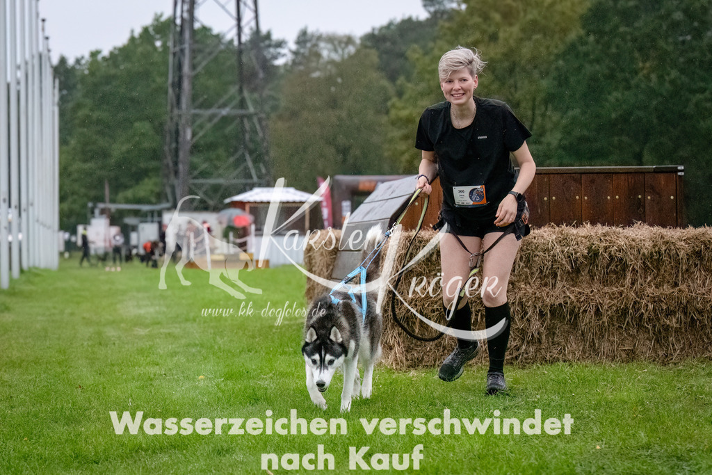 0822-_ZZ91150-Bearbeitet-Bearbeitet | kk-dogfotos