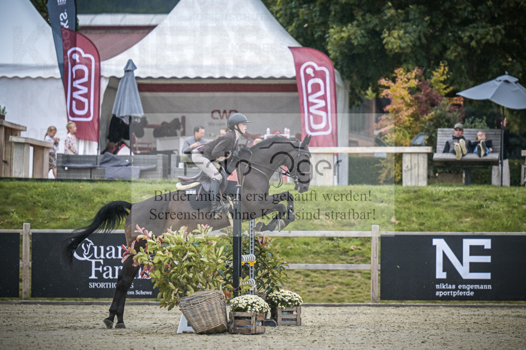 DOS_0364 | Entdecke hochwertige Reitturnierfotos von Foto Oger. Professionell, emotional und authentisch – jetzt Lieblingsmomente im Shop bestellen.Deutschlandweite Turnierfotografie. - Realisiert mit Pictrs.com