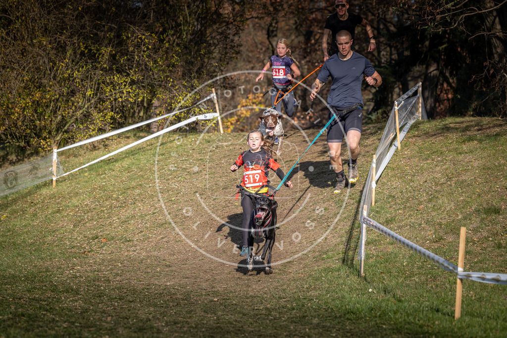 CaniXpix_0L8A8594 | Hundefotografie, Tierfotograf, Pfotenfotografie, Fotoshooting Hund, Hunde Portrait, Hundesport, Hundeportraits, Heideshooting, Hunde, Sportfotograf, Hundefotograf, Turnierhundsport, THS,  - Realisiert mit Pictrs.com
