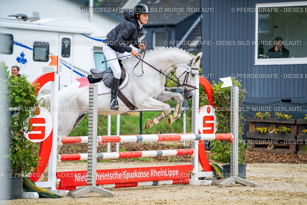 DSC02396 | Pferdegrafie