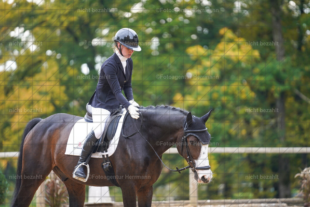 20221008-FAH01083 | Diessen am Ammersee, 2022, Dressur- und Springturnier, Reitsportbilder, Turnierfotografen Bayern, Pferdefotografen, Fotoagentur Herrmann, Turnierbilder