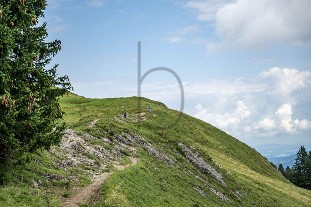 35. Gebirgsmarathon | 35. Gebirgsmarathon 2024 am 03.08.2024 in Immenstadt. Einer der anspruchsvollsten​und ältesten Bergläufe​Deutschlands im Naturpark Nagelfluhkette!(Foto: Dominik Berchtold/www.dberchtold.com)Instagram: @d_berchtold_foto 