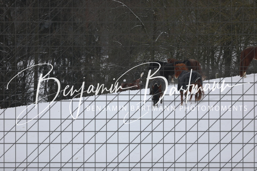 AZ2A3366 | Benjamin Bartmann Photomoments